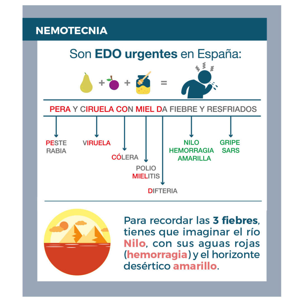 Regla nemotécnica Curso OPE TCAE