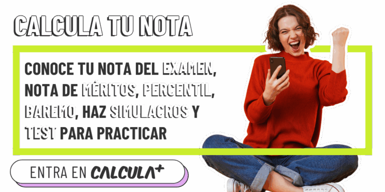 Desarrollo AulaPlus Formación Aulaplus